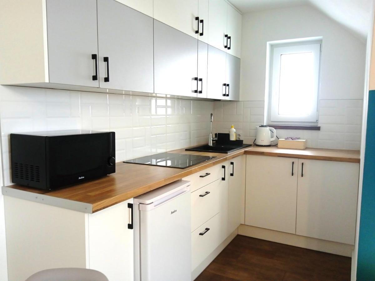 Apartamenty Jodlowa - Bilard - Bawialnia - Krolikarnia Krajno-Zagorze エクステリア 写真