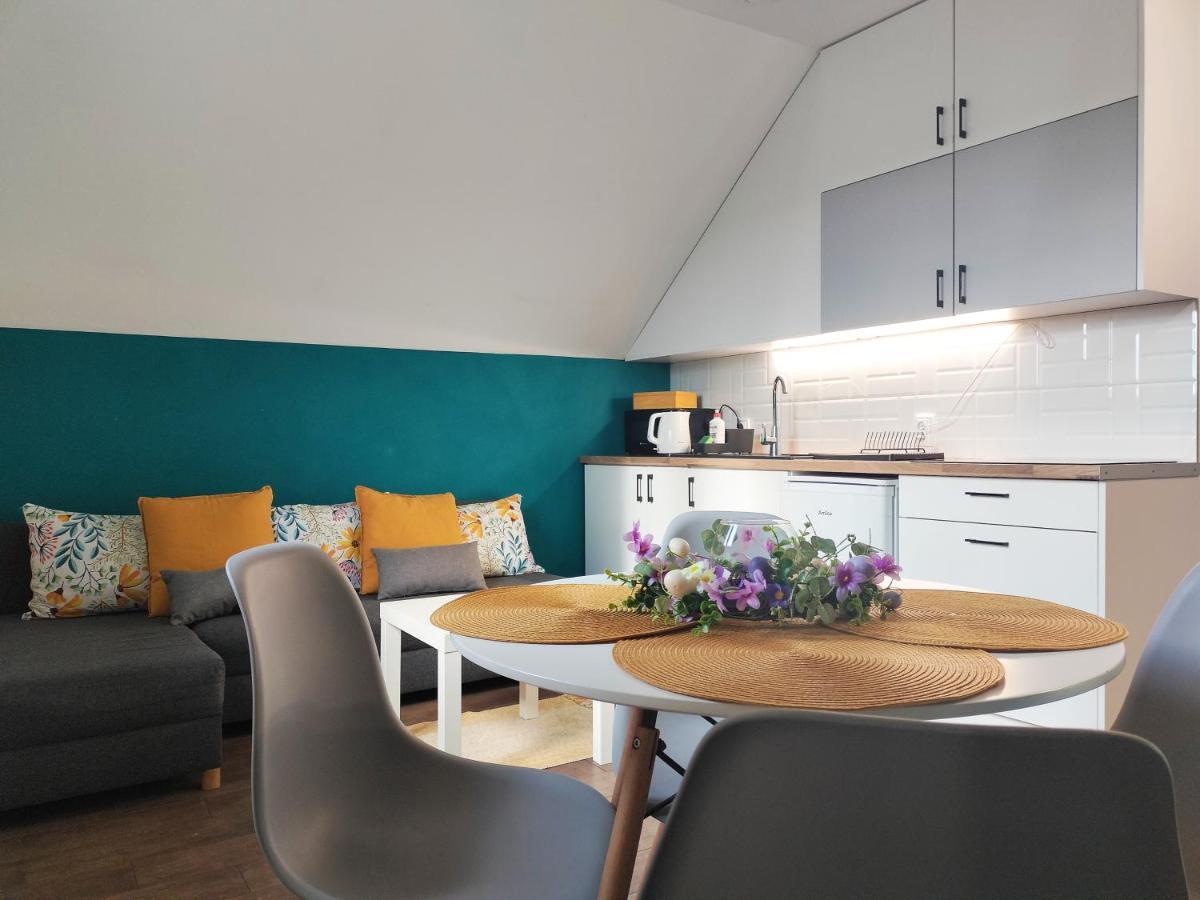 Apartamenty Jodlowa - Bilard - Bawialnia - Krolikarnia Krajno-Zagorze エクステリア 写真