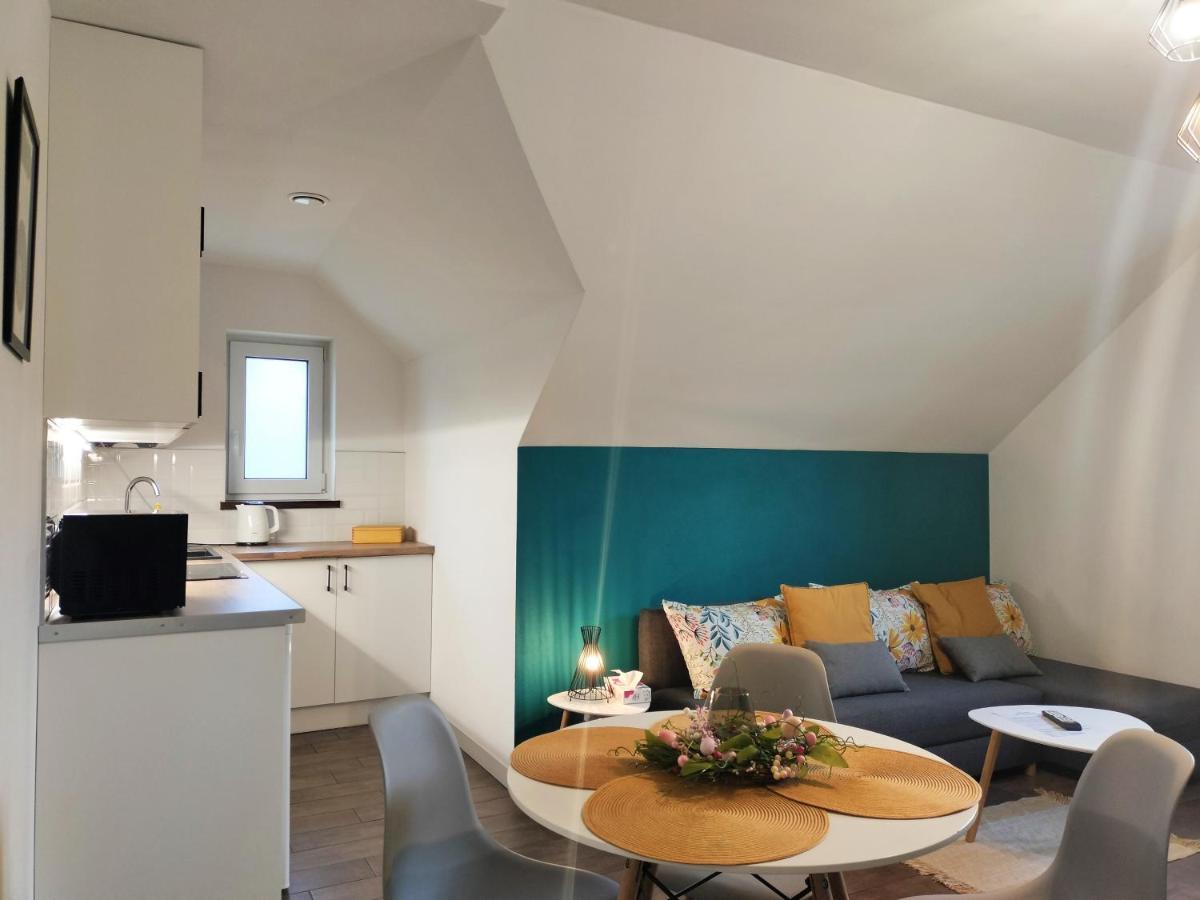 Apartamenty Jodlowa - Bilard - Bawialnia - Krolikarnia Krajno-Zagorze エクステリア 写真